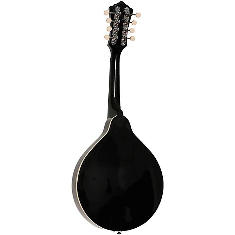 Recording King RAM-3 Dirty 30s A-Style Mandolin