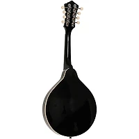 Recording King RAM-3 Dirty 30s A-Style Mandolin