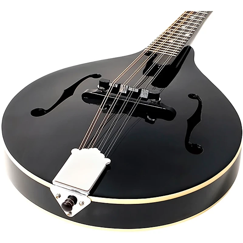 Recording King RAM-3 Dirty 30s A-Style Mandolin