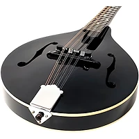 Recording King RAM-3 Dirty 30s A-Style Mandolin