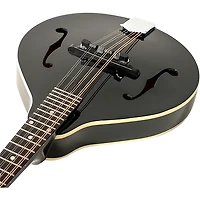 Recording King RAM-3 Dirty 30s A-Style Mandolin