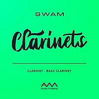 Audio Modeling SWAM Clarinets (Download)