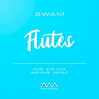 Audio Modeling SWAM Flutes (Download)