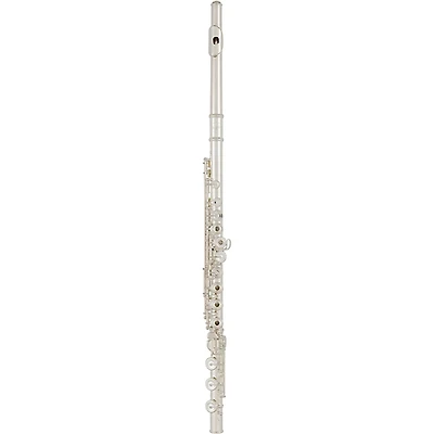 Allora Vienna Series Intermediate Flute Offset G B-Foot