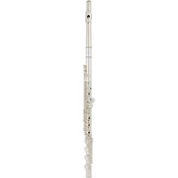 Allora Vienna Series Intermediate Flute Offset G B-Foot