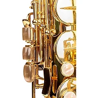 Protec Saxophone Side Key Risers