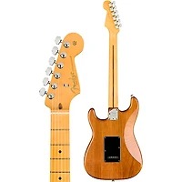 Fender American Professional II Roasted Pine Stratocaster Maple Fingerboard Electric Guitar -