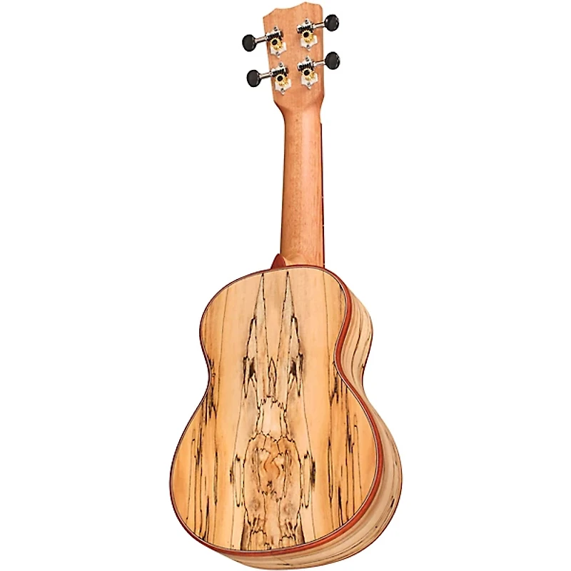 Cordoba 24S Spruce Spalted Maple Soprano Ukulele Natural