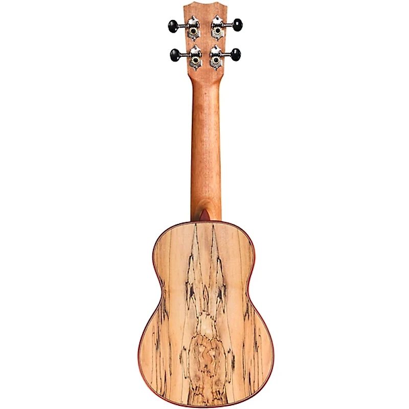 Cordoba 24S Spruce Spalted Maple Soprano Ukulele Natural