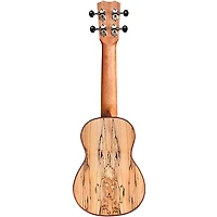 Cordoba 24S Spruce Spalted Maple Soprano Ukulele Natural