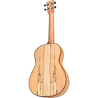 Cordoba 24B Spruce Spalted Maple Baritone Ukulele Natural