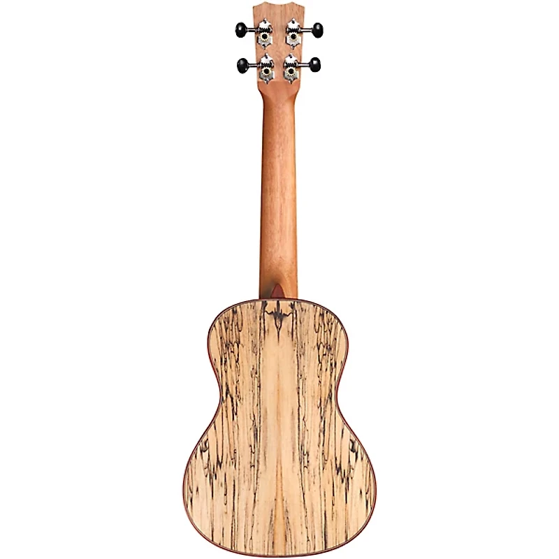 Cordoba 24C Spruce Spalted Maple Concert Ukulele Natural
