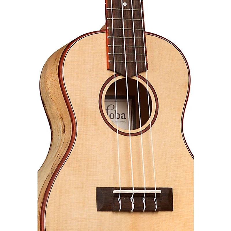 Cordoba 24C Spruce Spalted Maple Concert Ukulele Natural