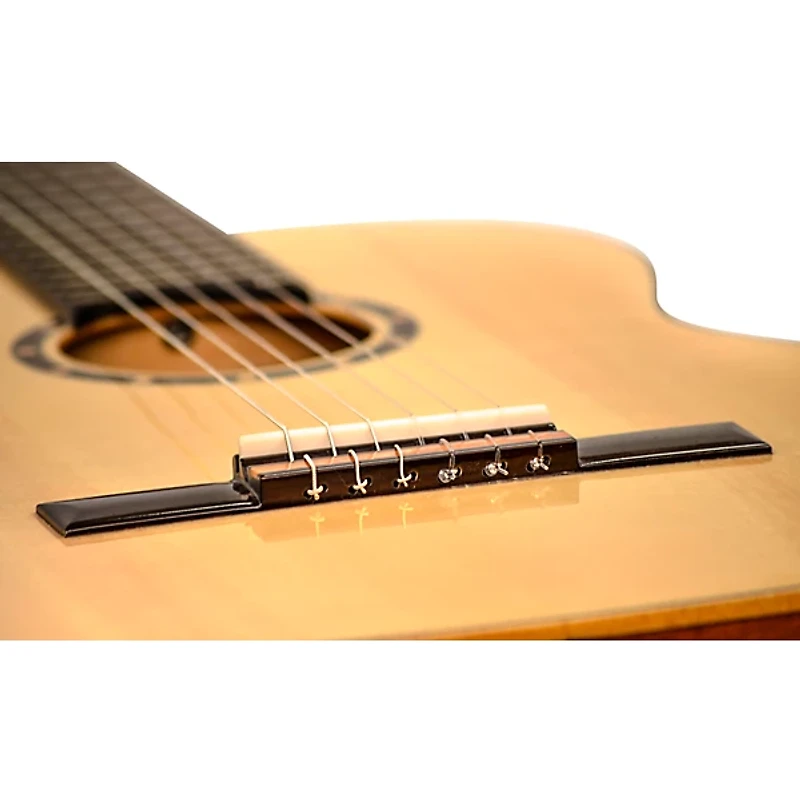 Ortega Traditional Series R220 Classical Guitar Gloss Natural 4/4
