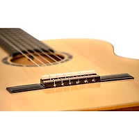 Ortega Traditional Series R220 Classical Guitar Gloss Natural 4/4