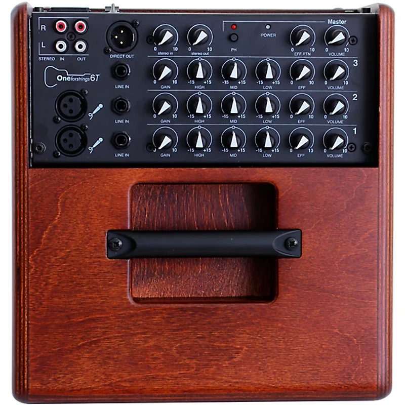 Acus Sound Engineering Acus Oneforstrings 6T Simon Combo Acoustic Amp Wood