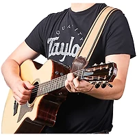 Taylor Reflections Leather Guitar Strap - Spruce Brown and Tan 2.5 in.