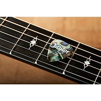 Taylor Celluloid 351 Picks, Abalone