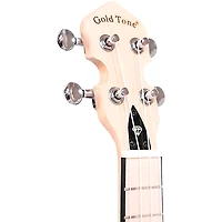 Gold Tone Lightup Little Gem Banjo-Ukulele (Amethyst)