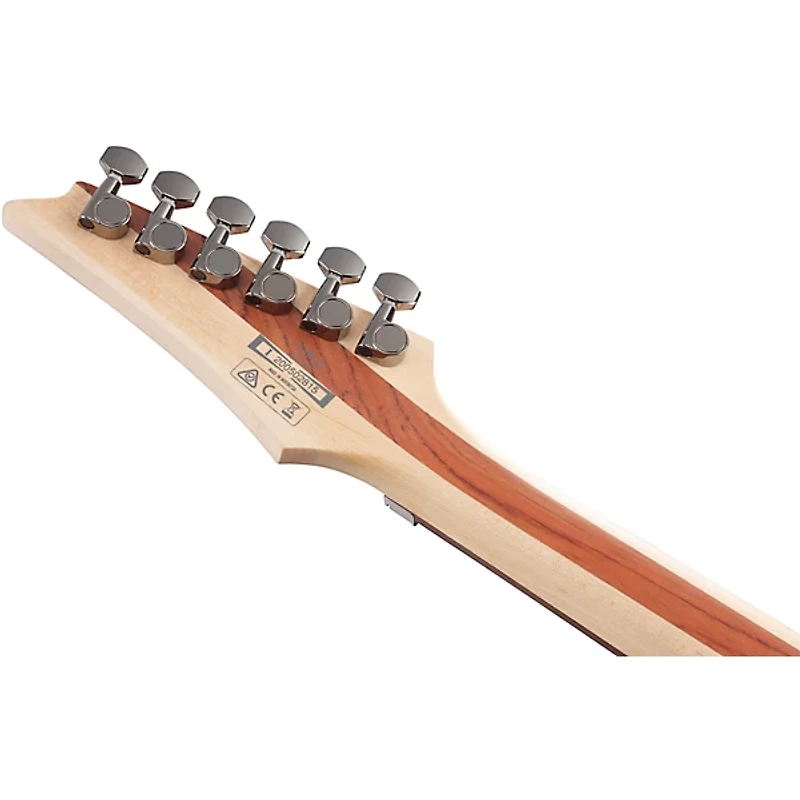 Ibanez PWM20 Paul Waggoner Signature 6str Electric Guitar