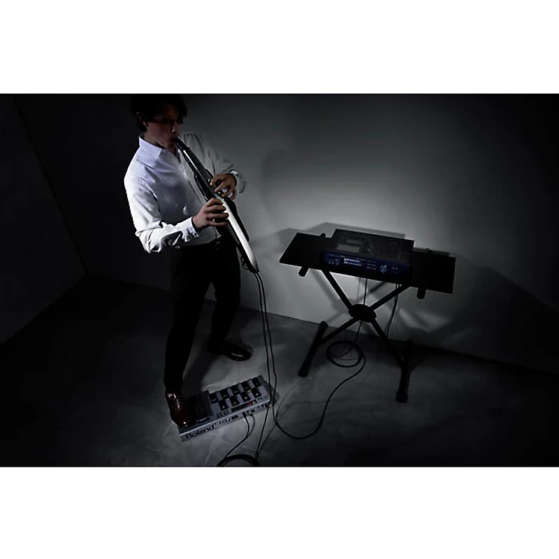 Roland AE-30 Aerophone Pro