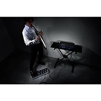 Roland AE-30 Aerophone Pro