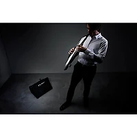 Roland AE-30 Aerophone Pro