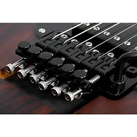 Schecter Guitar Research SVSS Exotic Ziricote 6-String Electric Guitar Natural