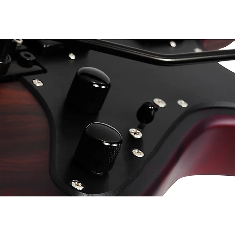 Schecter Guitar Research SVSS Exotic Ziricote 6-String Electric Guitar Natural