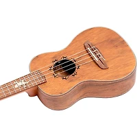 Ortega Lizard Series Lizard-CC-GBL Left-Handed Concert Ukulele Natural