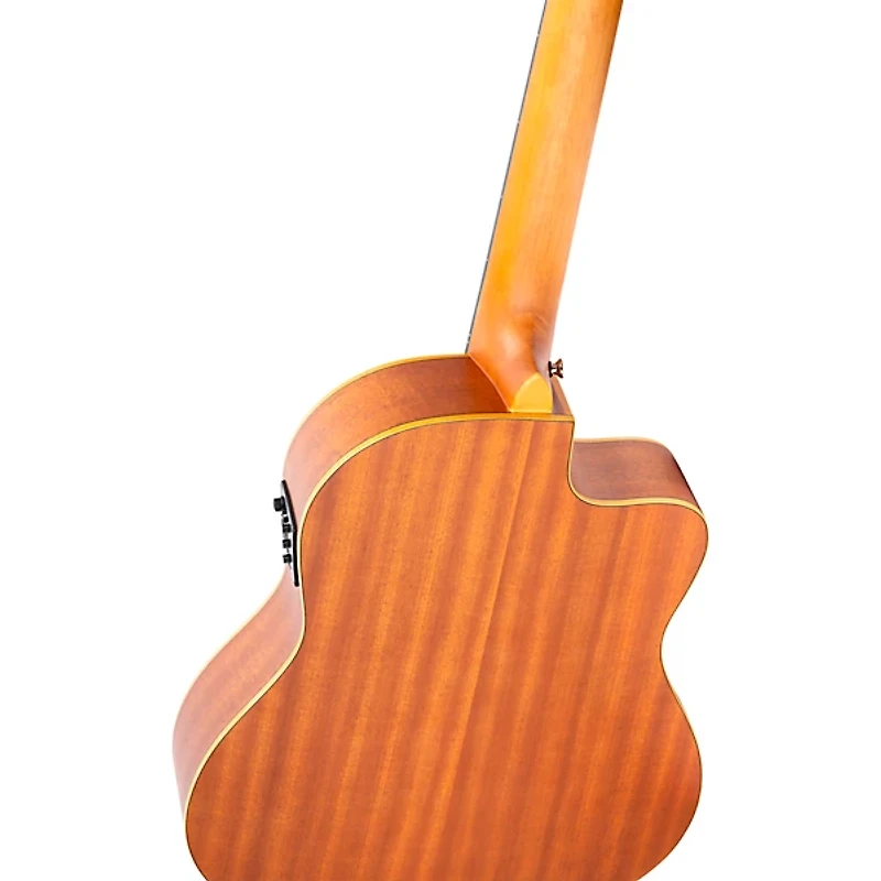Ortega Family Series RCE125SN-L Thinline Acoustic/Electric Classical Guitar Natural Matte