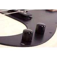 Schecter Guitar Research P-4 4-String Electric Bass Guitar