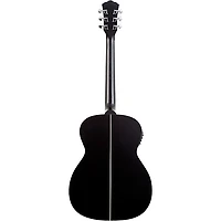 Washburn Deep Forest Ebony FE Acoustic-Electric Guitar Natural Matte