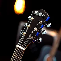 Washburn Deep Forest Ebony FE Acoustic-Electric Guitar Natural Matte