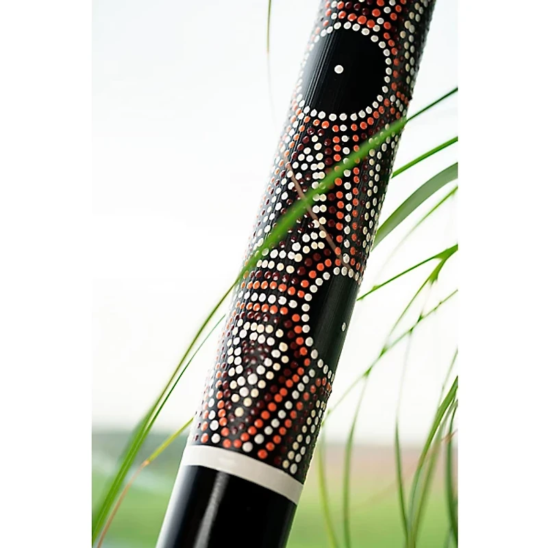 MEINL Sonic Energy Bamboo Rainstick