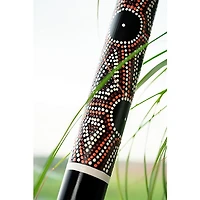 MEINL Sonic Energy Bamboo Rainstick