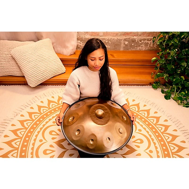 MEINL Sonic Energy D Kurd 10-Tone Sensory Handpan