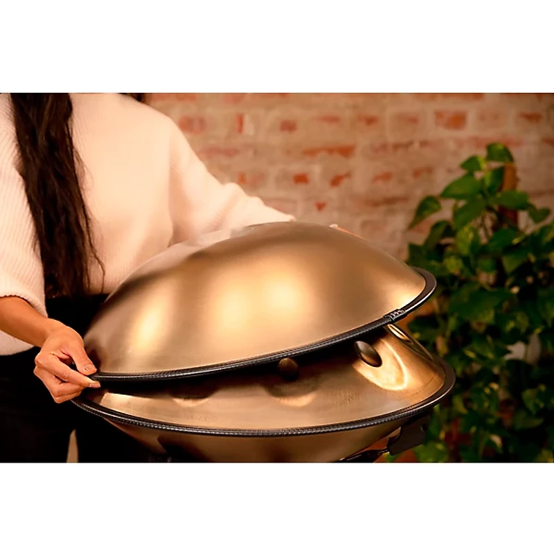 MEINL Sonic Energy D Kurd 10-Tone Sensory Handpan