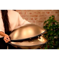 MEINL Sonic Energy D Kurd 10-Tone Sensory Handpan