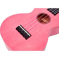 Mahalo Island Series Concert Ukulele
