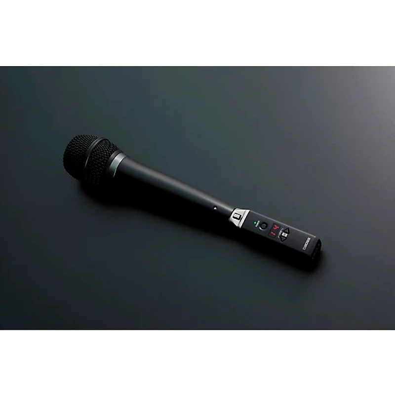 BOSS WL-30XLR Wireless System