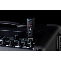 BOSS WL-30XLR Wireless System