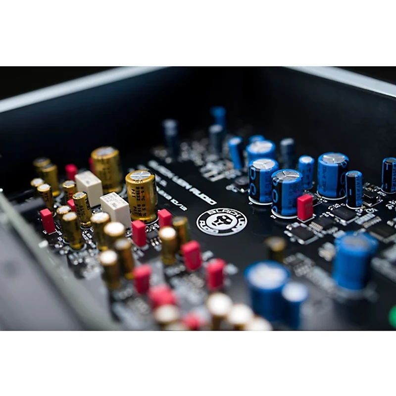 Black Lion Audio REVOLUTION 2 x 2 USB-C Audio Interface