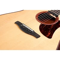 Ibanez AAD170CE Advanced Acoustic-Electric Cutaway Dreadnought Guitar Low Gloss Satin