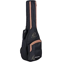 Ortega RCE138-T4 Thinline Acoustic-Electric Nylon Guitar High Gloss Natural