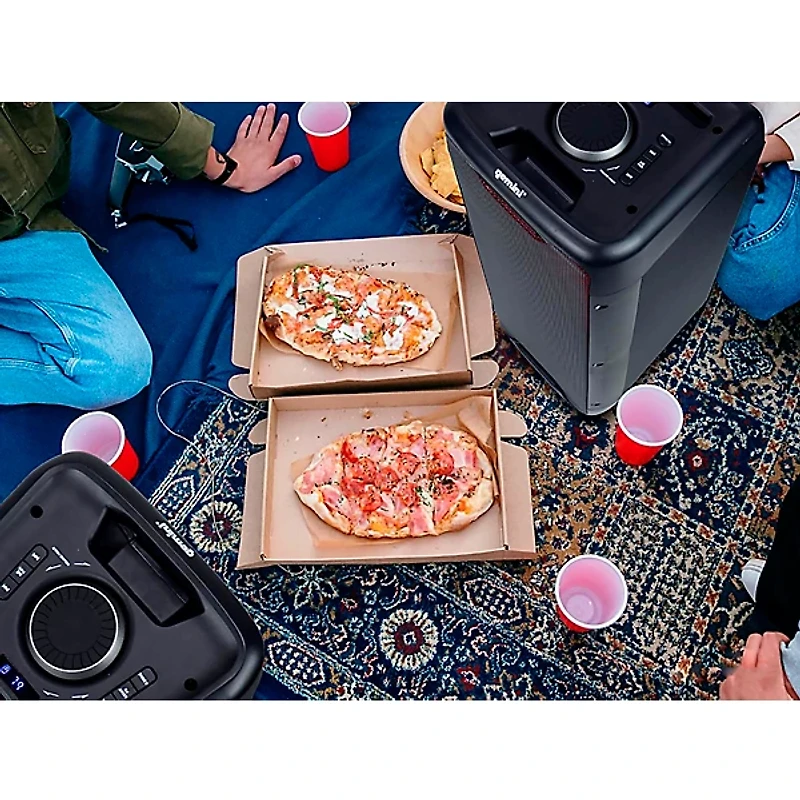 Gemini GLS-550 Dual 6.5" Portable Party System