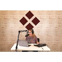 Gator GFW-ACPNL1212P Acoustic Foam Pyramid Panels 2"x12"x12" 4-Pack