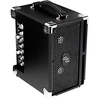 Phil Jones Bass BG-120B Bass Cub Pro 2x5 120W Combo Amp