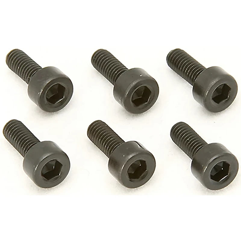 Floyd Rose Saddle Mounting Screws (Set of 6) Black