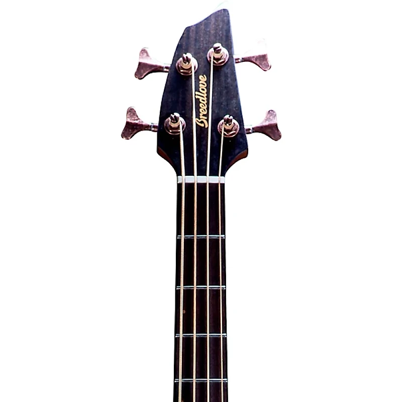 Breedlove Pursuit Exotic S CE Concerto Acoustic-Electric Bass Amber Burst